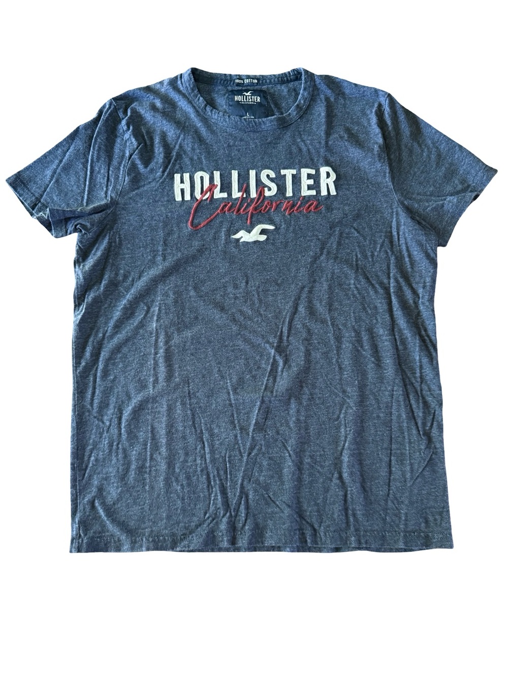 Hollister California Blue Graphic Logo Tee Men’s Large Y2K Surf Style